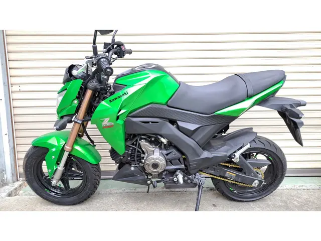 Kawasaki Z125 PRO — фото 2