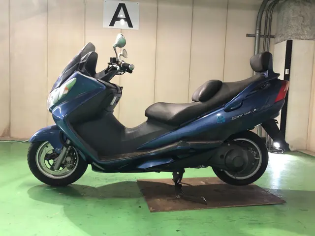 Suzuki SKYWAVE 250 — фото 2