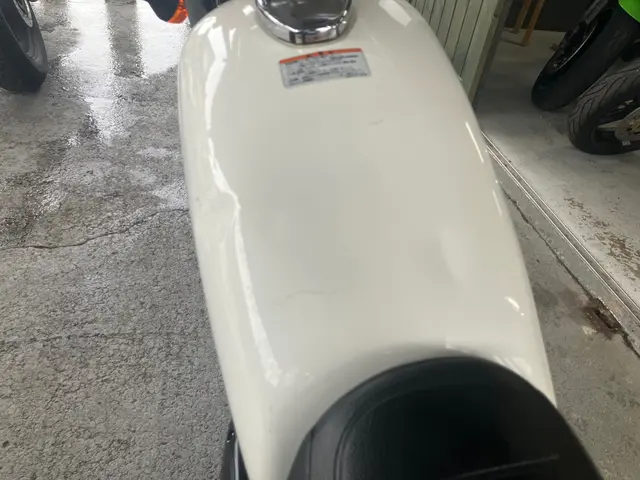 Kawasaki 250TR — фото 4