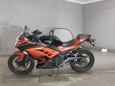 Kawasaki NINJA250 — фото 2