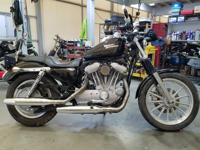 HD SPORTSTER XL883