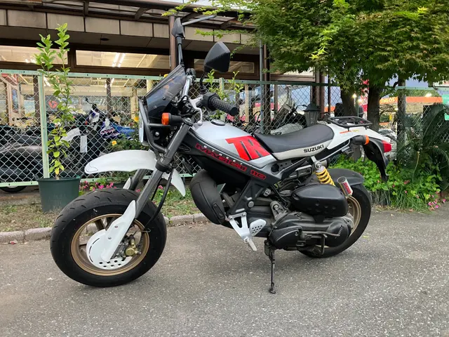 Suzuki STOMAJI 2 (TR110SD) — фото 3