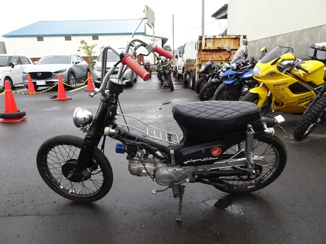 Honda SUPER CUB50 — фото 2